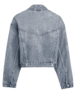 Beyonce x Levis Shrunken 90s Denim Trucker Jacket